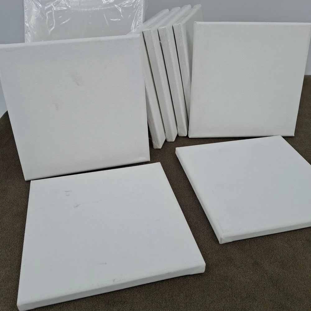 Canvas Blank Lot Set White: Sealed 12 Pk 8x10 & 4 8x8. Then 4x4 Open Pkg (Blank)
